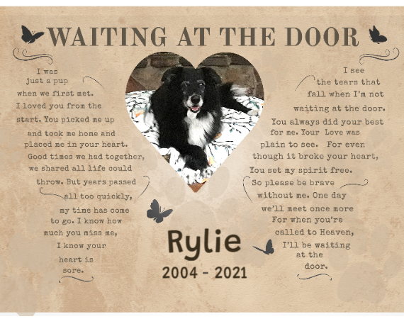 Waiting At The Door Pet Poem | Custom Pet Memorial Canvas Print | Butterfly Shape