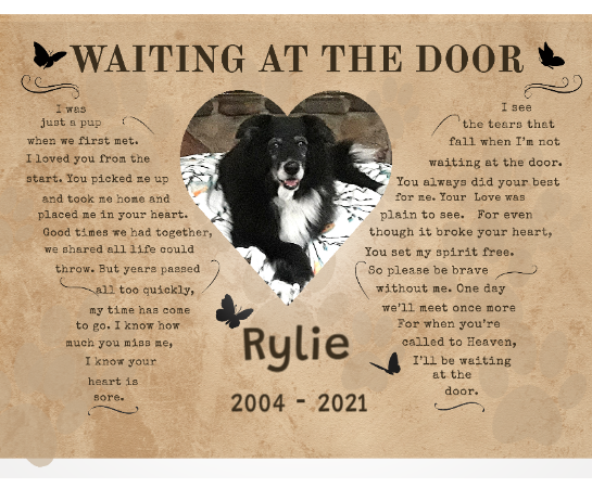 Waiting At The Door Pet Poem | Custom Pet Memorial Canvas Print | Butterfly Shape